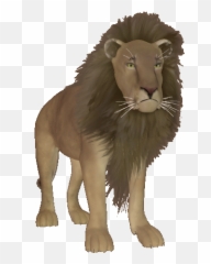 Top Lion Roar Stickers For Android U0026 Ios Gfycat - Moving Lion Gif Cartoon Emoji,Lion Emoji
