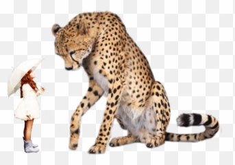 Girl Leopard - Lennette Newell Anti Human Emoji,Leopard Emoji