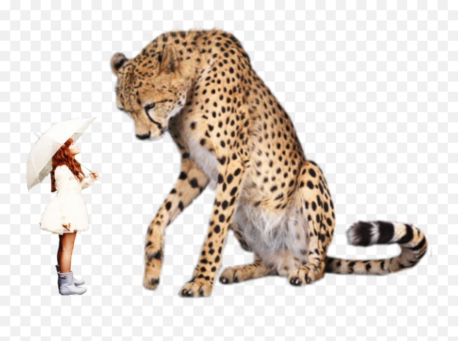 Girl Leopard - Lennette Newell Anti Human Emoji,Leopard Emoji