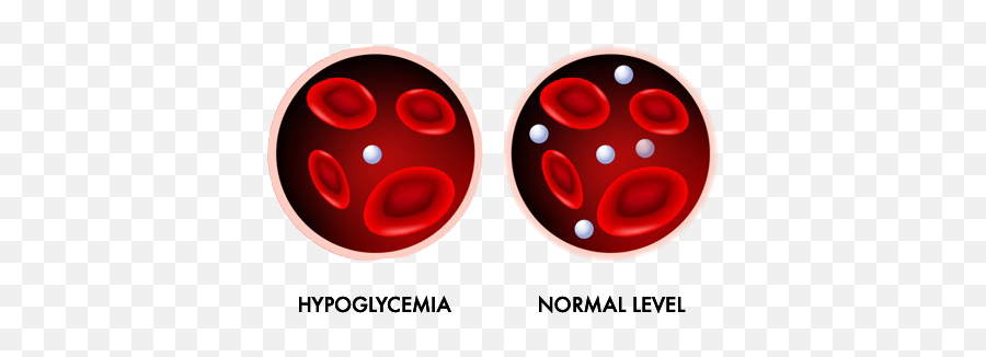 Hypoglycemia And Normal Glucose Level - Blood Vessels Hypoglycemia Emoji,Level 15 Emojis