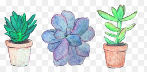 Picture - Png Tumblr Plants Emoji,Succulent Emoji