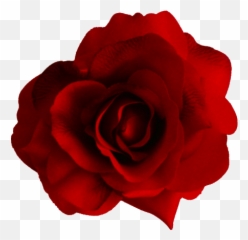 Rose Png Flower Cute - Red Transparent Flower Emoji,Rose Emoji Png