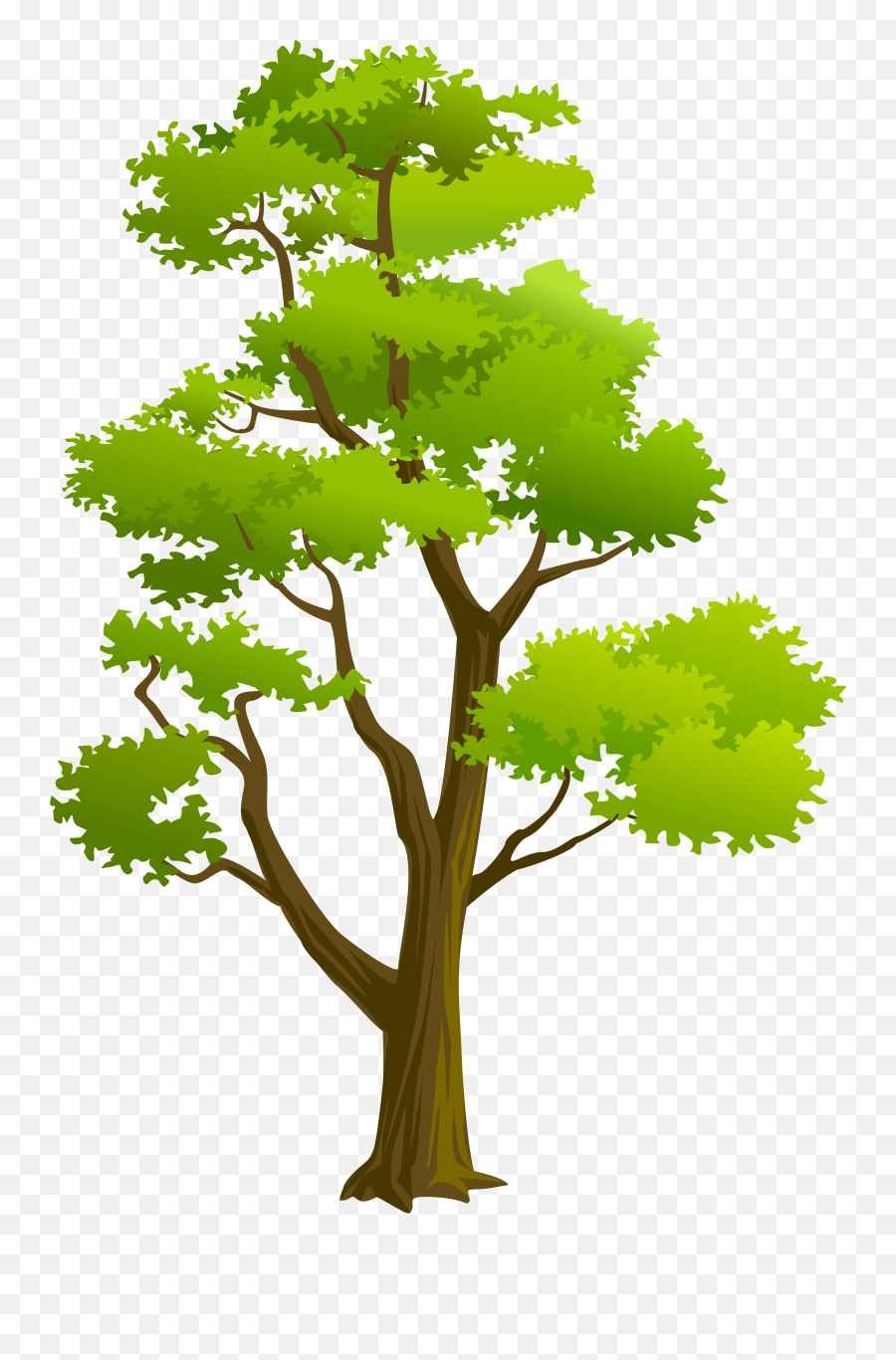 Tree Clipart High Resolution - Clipart Tree Png Emoji,Emoji High Definition