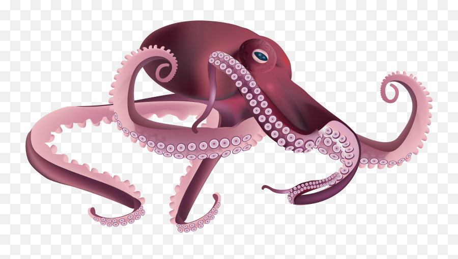 Octopus Cartoon Transparent Png Emoji,Octopus Pen Emoji