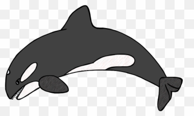 Killer Whale Clipart Black And White - Orca Clipart Emoji,Orca Emoji