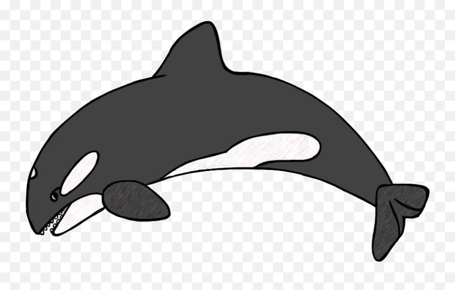 Killer Whale Clipart Black And White - Orca Clipart Emoji,Orca Emoji