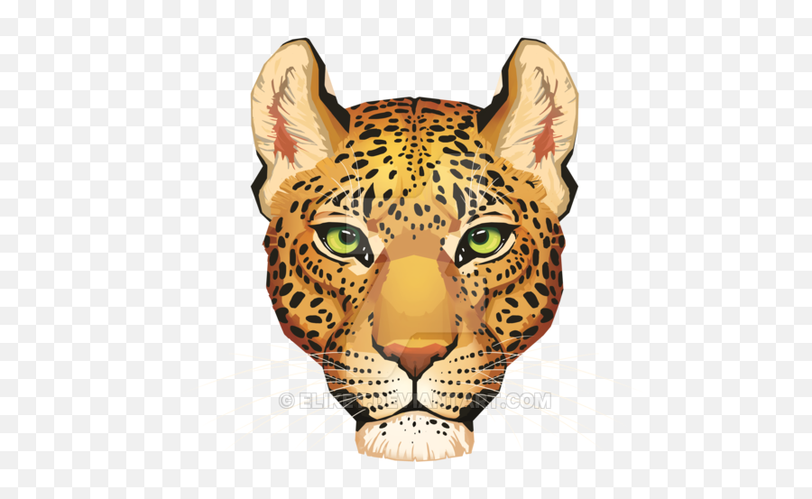 Leopard Face Png Download Image - Leopard Face Png Emoji,Leopard Emoji