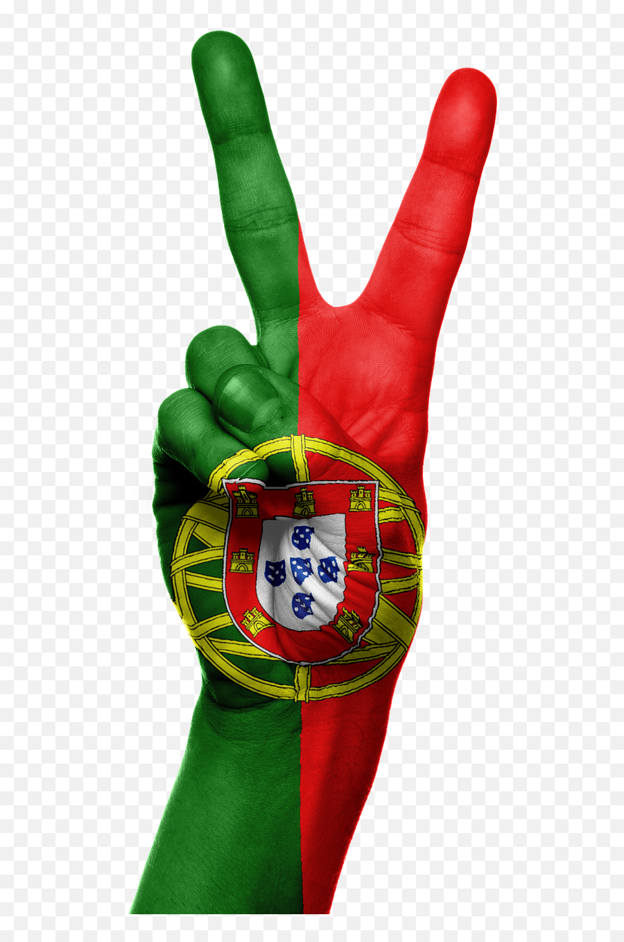 Portugal Flag Hand National Fingers - Portugal Flag Hand Emoji,Thumbs Down Emoji