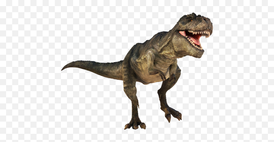 T Rex Dinosaurs Png Transparent T Rex Dinosaurs - Realistic Dinosaur Clipart Emoji,Dinosaur Emoji