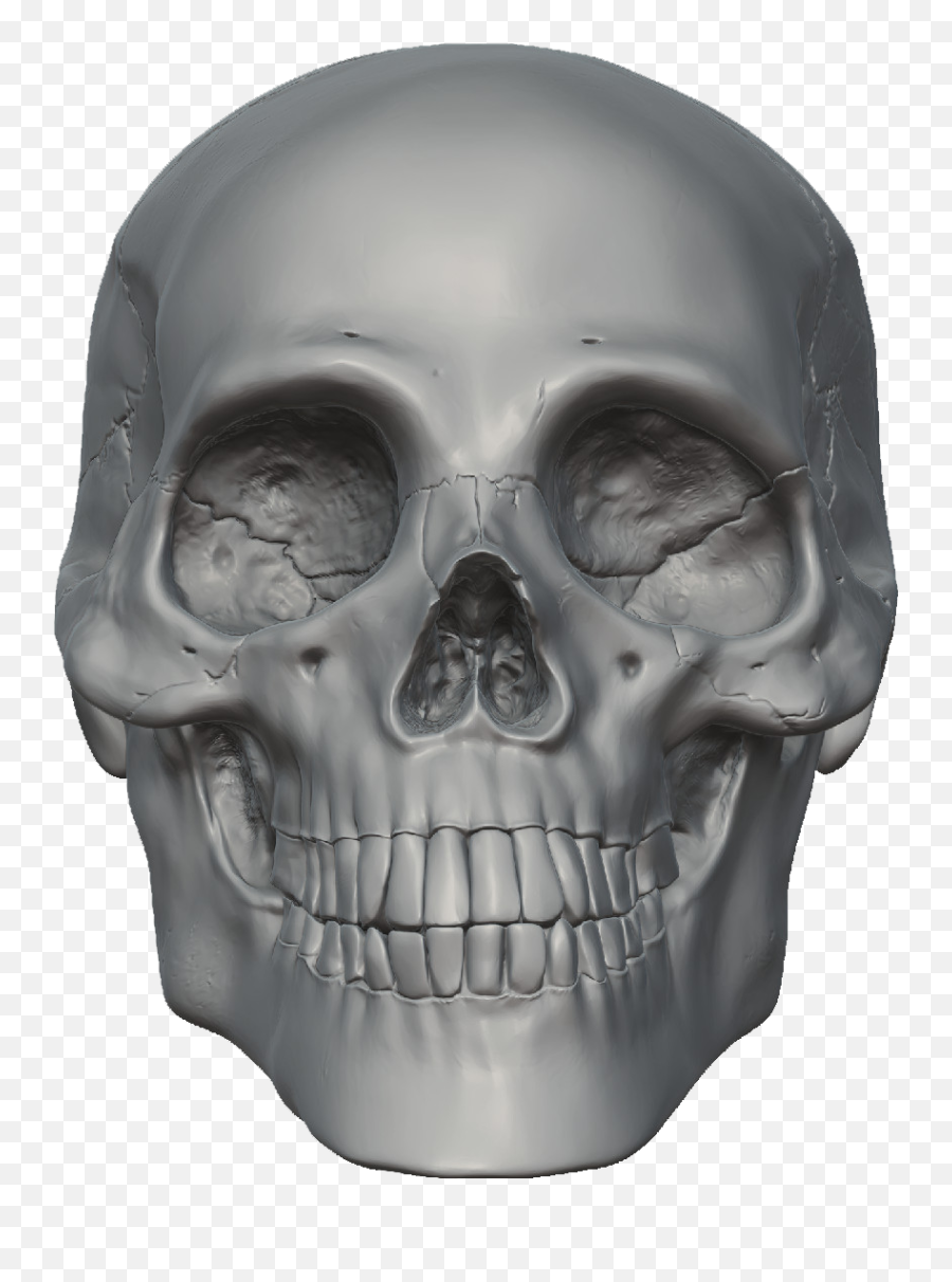Free Skeleton Face Png Download Free Clip Art Free Clip - Skeleton Head Png Emoji,Skeleton Emoji