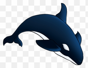How To Draw An Orca - Easy Cute Orca Drawing Emoji,Orca Emoji