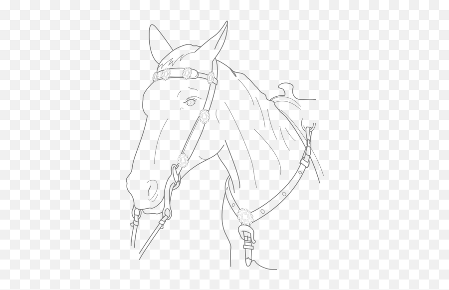 Vetor De Cabeça De Cavalo Com Chumbo - Cabeca De Cavalo Preto Png Emoji,Horse Emoticons