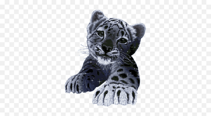 Top Black Tiger Stickers For Android U0026 Ios Gfycat - Thank You For Add Me Emoji,Jaguar Emoji