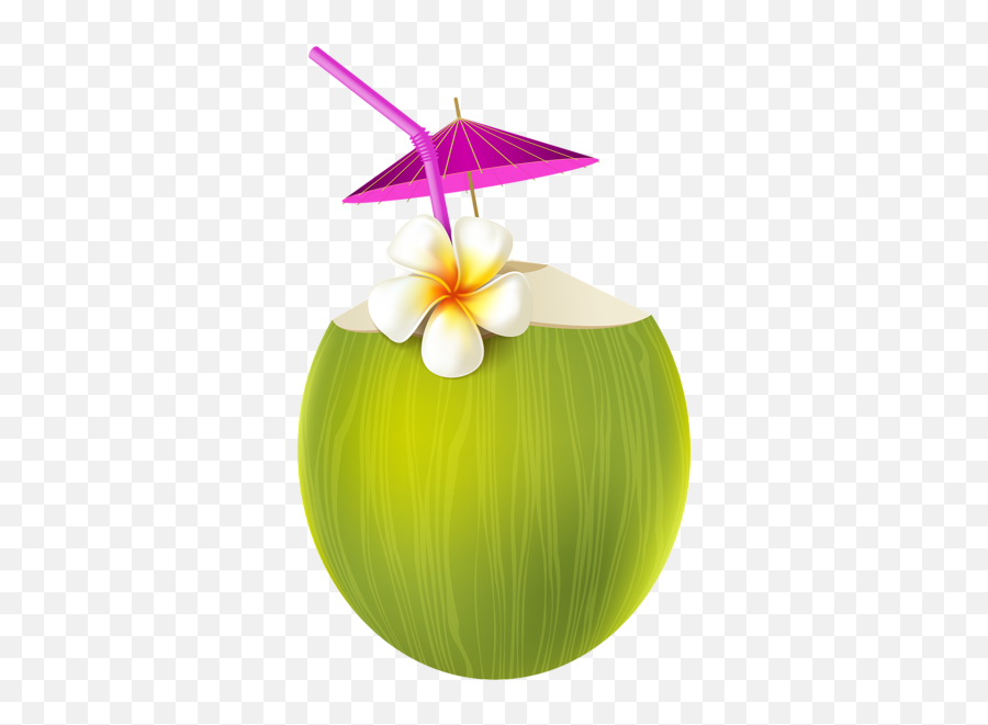 Cocktail Cocktails Drink Drinks Tropical Terrieasterly - Coconut Png Emoji,Tropical Drink Emoji
