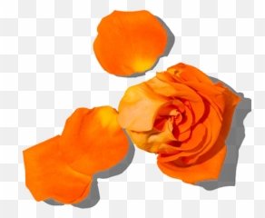 Normal Travel Wash - Garden Roses Emoji