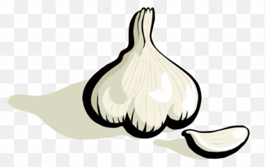 Garlic Images Download Free Clip Art - Bawang Vektor Emoji,Garlic Emoji