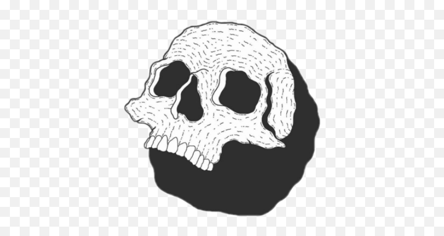 Skeleton Png And Vectors For Free Download - Skull Emoji,Skeleton Emoji