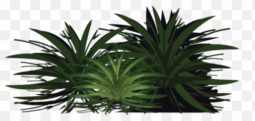 Palm Tree Wood Paper - Png Emoji,Palm Tree Emojis