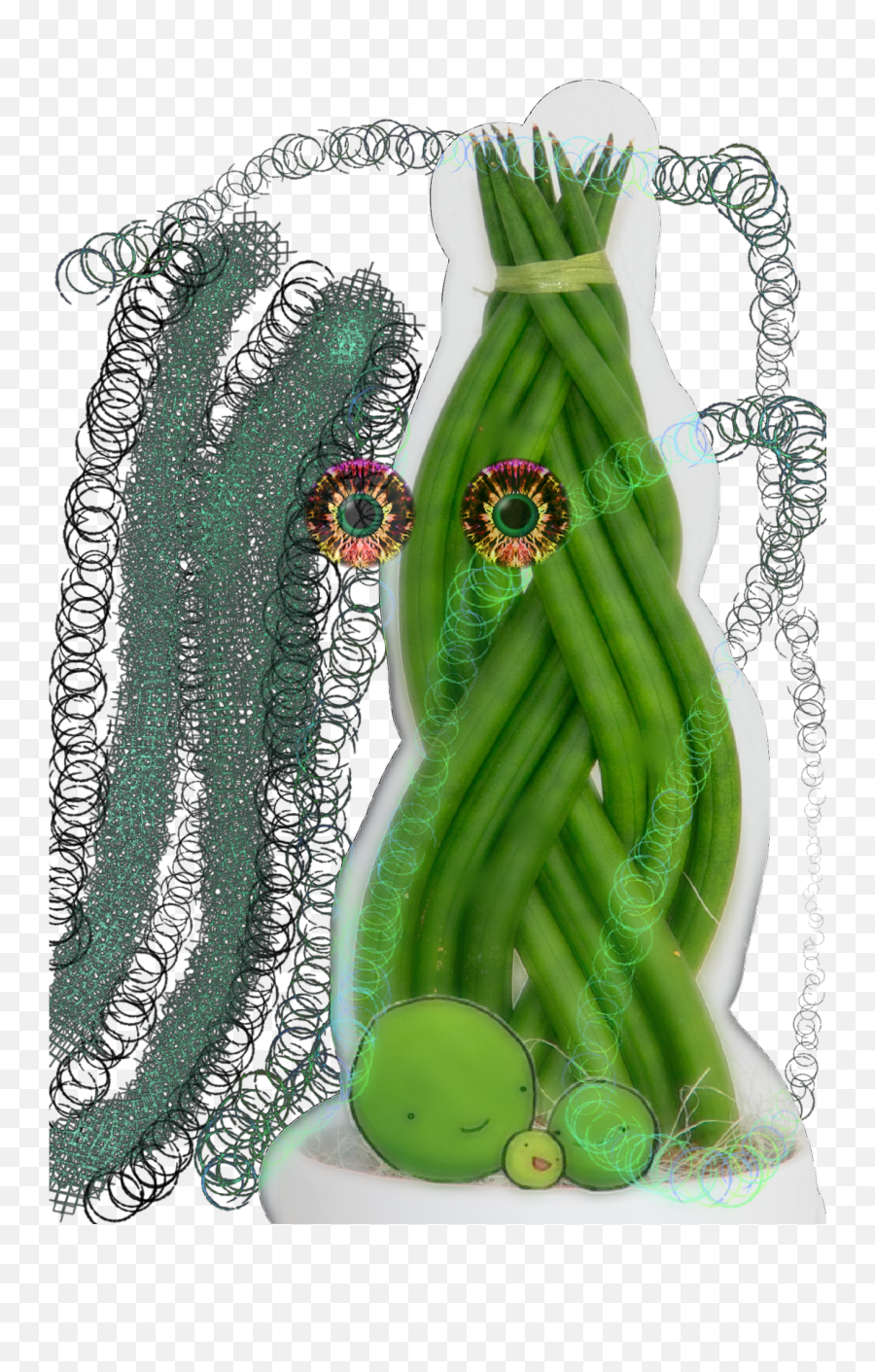 Greenbean Crazy - Dracaena Angolensis Emoji,Asparagus Emoji