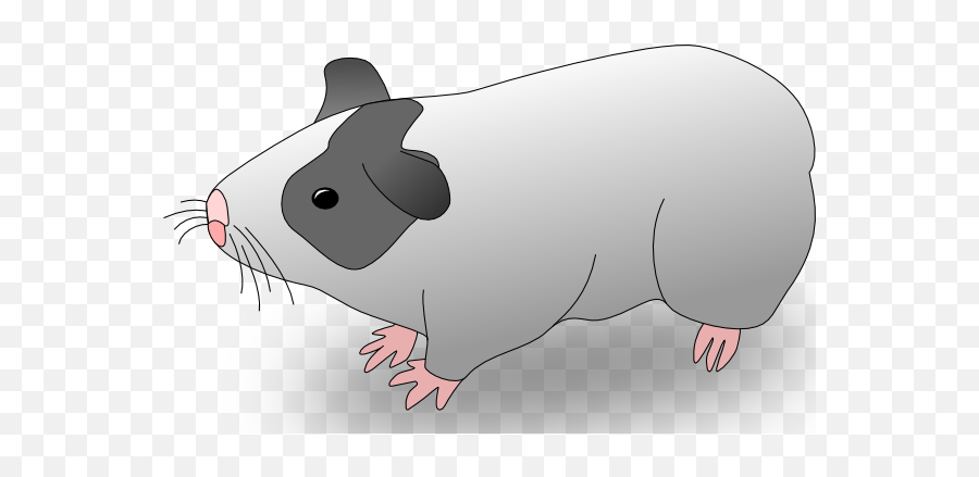 Gambar Animasi Marmut - Clip Art Library Animasi Marmut Emoji,Guinea Pig Emoji