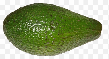 File Avocado Wikimedia Commons - With Transparent Png Emoji