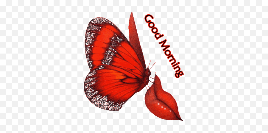 Top Happy Goodmorning We Stickers For Android Ios - Butterfly Emoji,Good Morning Emoji