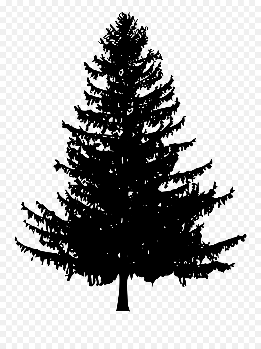 Pinetree Vector Minimalist Transparent Png Clipart Free - Pine Tree Silhouette Png Emoji,Pine Tree Emoji
