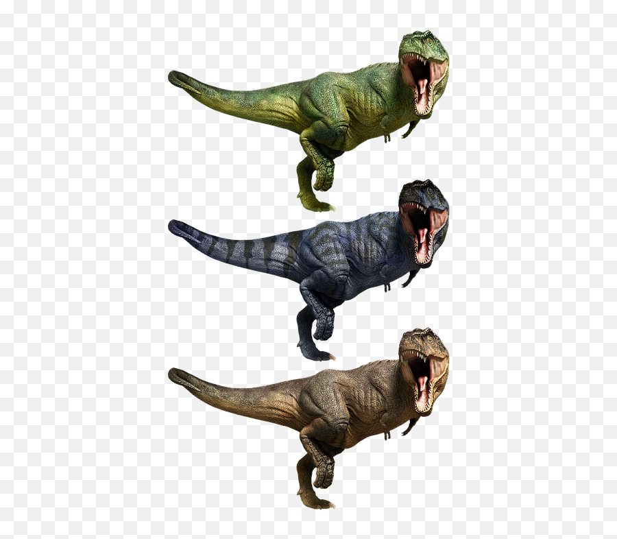 Tyrannosaurus T Rex - Different Colored T Rex Emoji,T Rex Emoji