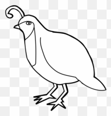 Quail Outline Png Svg Clip Art For Web - Partridge Emoji