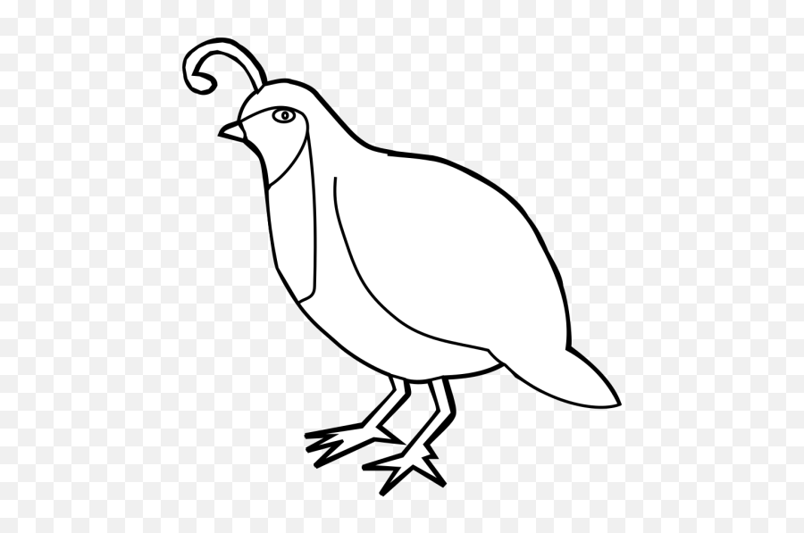 Quail Outline Png Svg Clip Art For Web - Partridge Outline Emoji,Quail Emoji