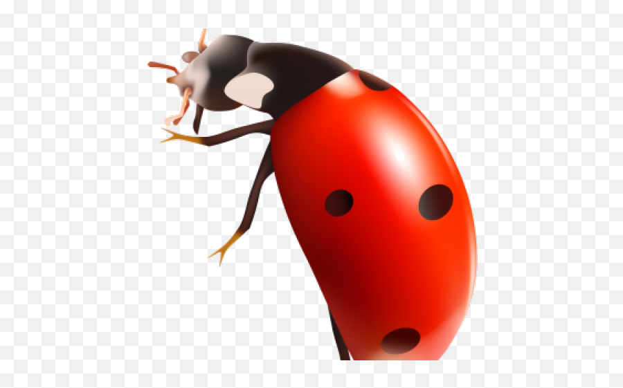 Ant Clipart Transparent Background - Png Download Full Ladybug On Clear Background Emoji,Ant Emoji