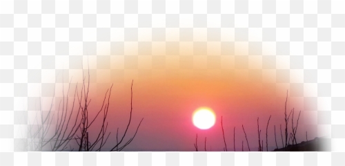 Popular and Trending vipshoutout Stickers on PicsArt - Color Gradient Emoji