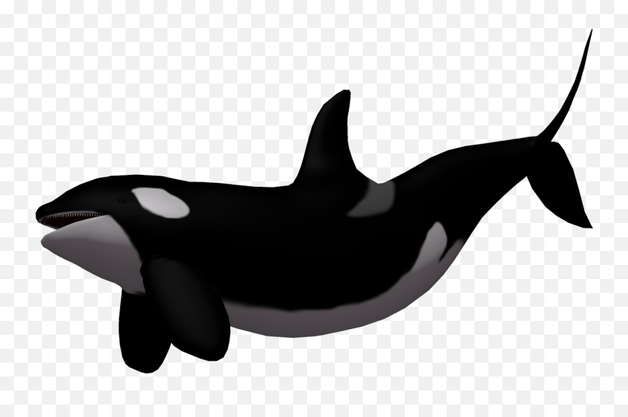 Download Baby Whale Png - Killer Whale Transparent Background Emoji,Orca Emoji