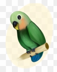 Birb Drawing Love Bird Huge Freebie - Lovebird Emoji,Birb Emoji