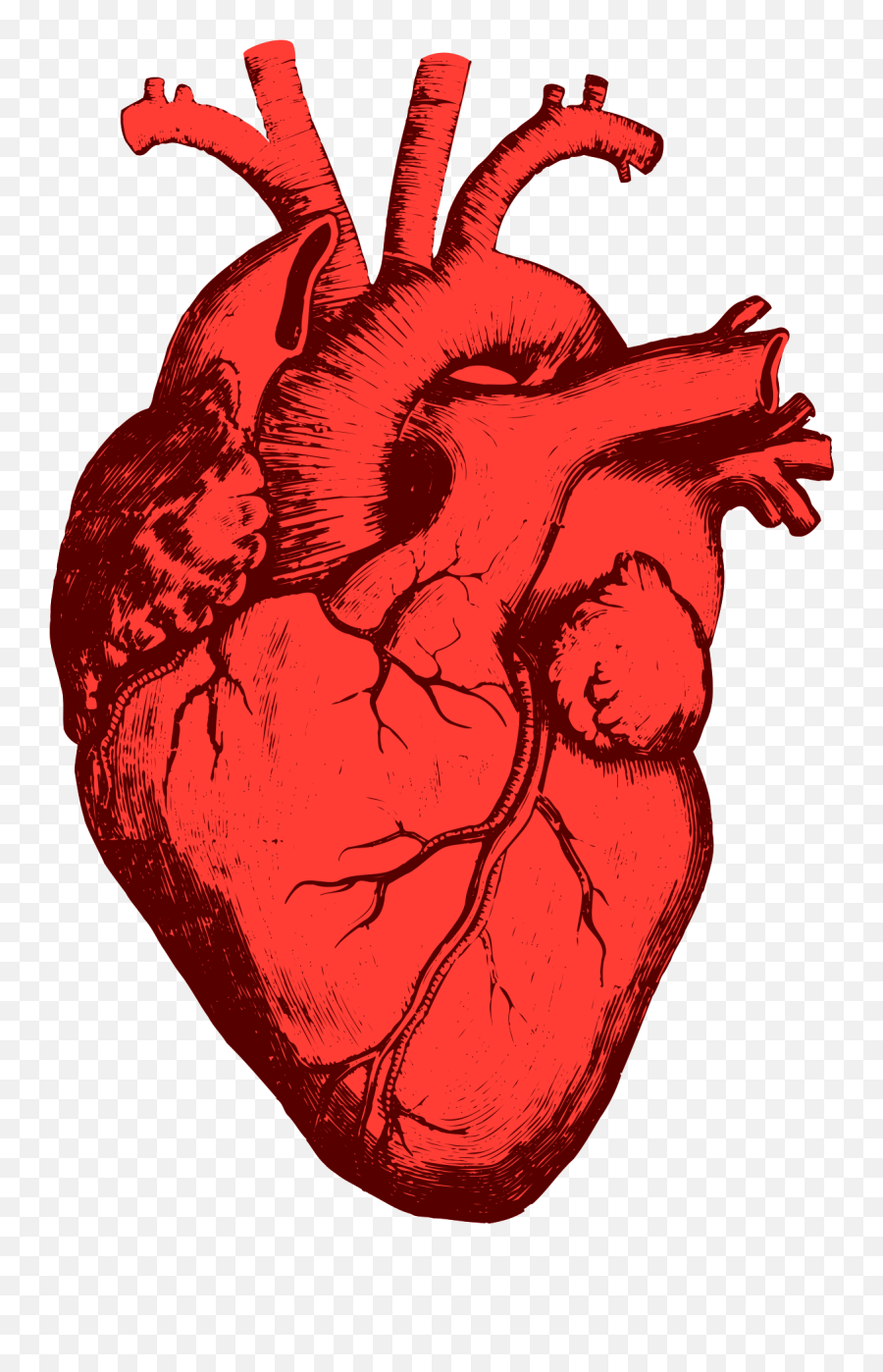 Pin - Human Heart Transparent Background Emoji,Wilted Rose Emoji