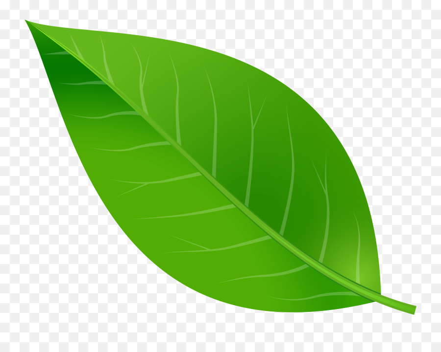 Green Leaf Clipart Transparent Background Emoji,Green Leaf Emoji