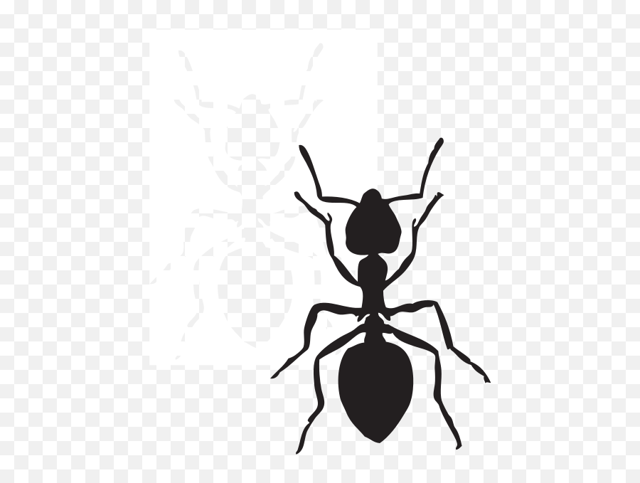 Free Irritated Smiley Cliparts Download Free Clip Art Free - Ant Clipart Black And White Emoji,Ant Emoji