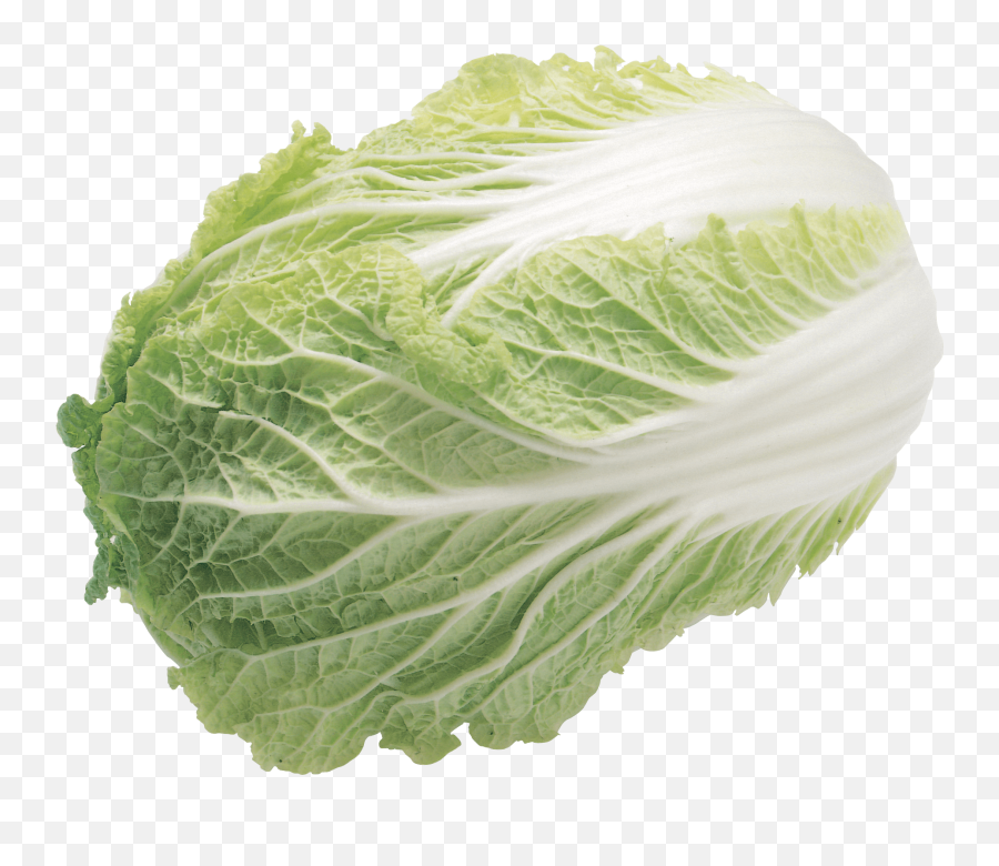 Transparent Background Lettuce Clipart Png Emoji,Lettuce Emoji