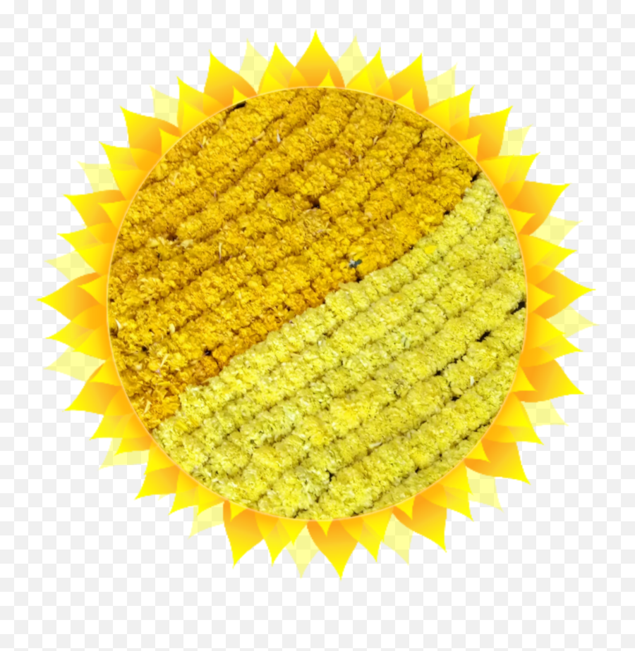 Sunsunshinetextureartstickers - Sunflower Emoji,Rice Cracker Emoji