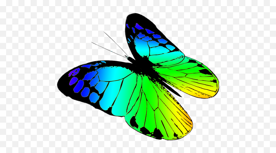 Butterfly Transparent Download Hd - Transparent Background Png Transparent Clip Art Butterfly Emoji,Facebook Butterfly Emoji