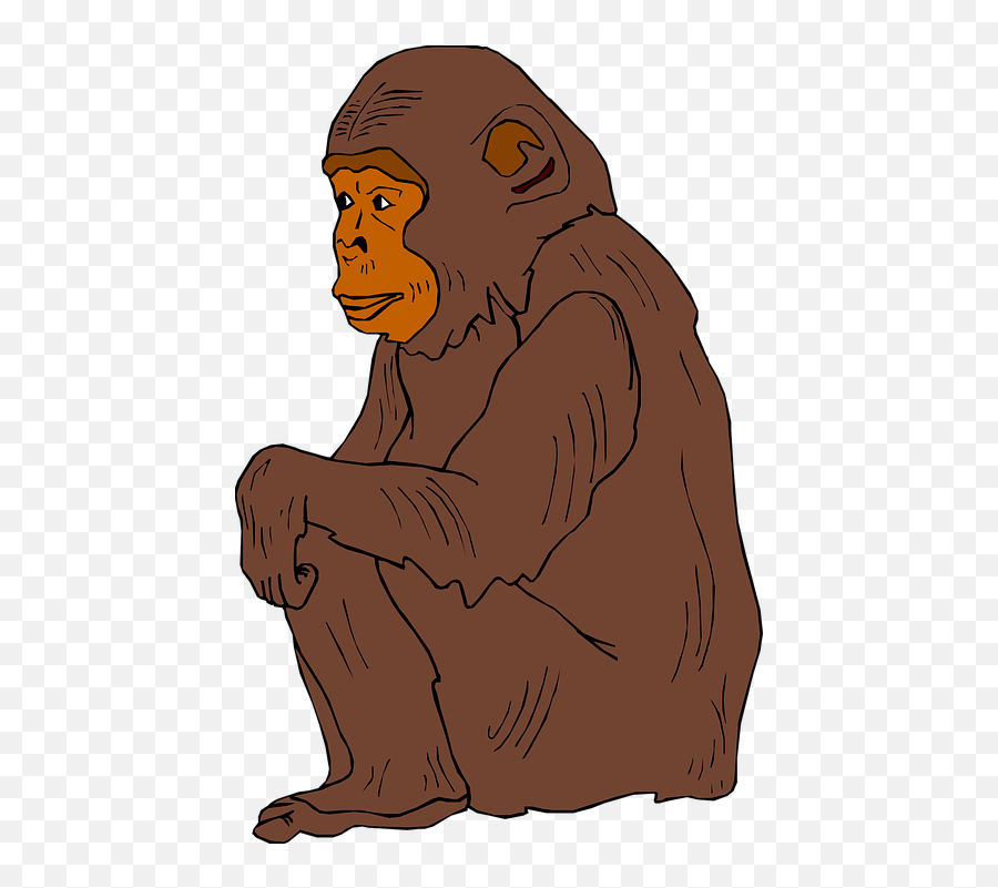 Free Ape Monkey Vectors - Transparent Chimp Clipart Emoji,Shocking Face Emoticon