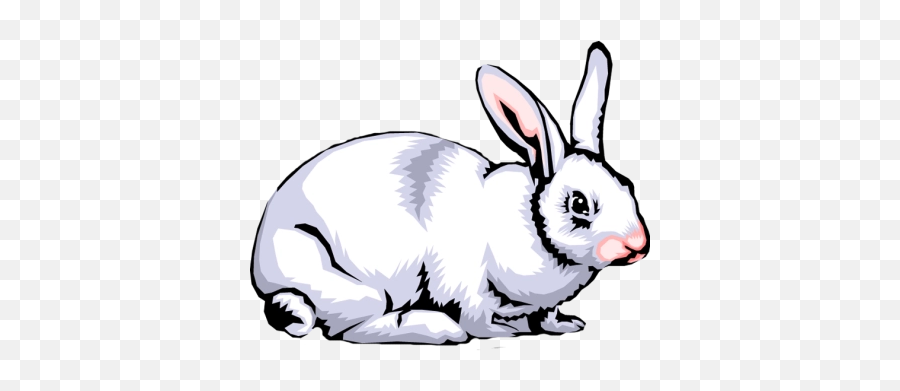 Rabbit Png And Vectors For Free - Rabbit Png Clip Art Emoji,Emoji Rabbit And Egg