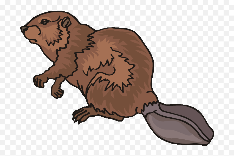Top 80 Beaver Clip Art - Beaver Fur Trade Clipart Emoji,Beaver Emoji