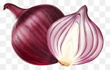 Onion Clipart Half Onion Onion Half - Onion Clipart Emoji,Onion Ring Emoji