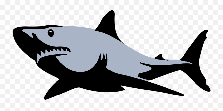 Great White Shark Bull Shark Tiger Shark Clip Art - Shark Black And White Shark Clipart Emoji,Shark Emoji