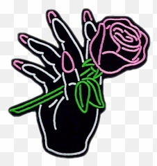 Flower Girl Posts Girlythings Girlish Girly Transformat - Rose In Hand Transparent Emoji,Flower Girl Emoji