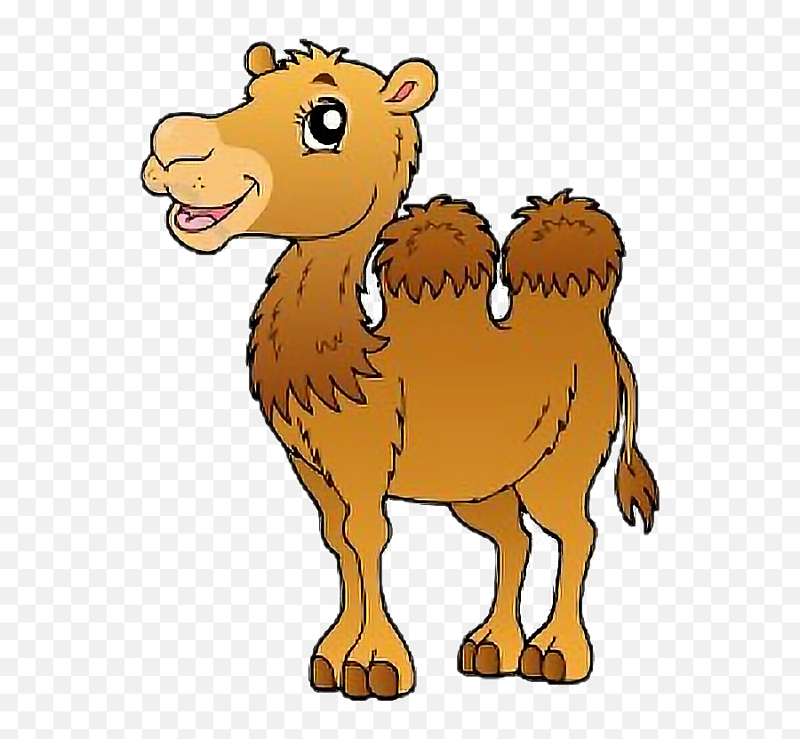 Animals Camel Hump Humpday Freetoedit - Animales Que Viven En El Desierto Animados Emoji,Humping Emoji