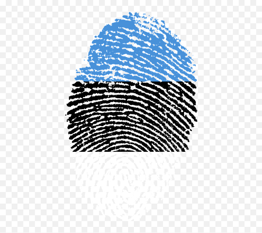 Estonia Flag Fingerprint - Uae Flag Fingerprint Emoji,Estonia Flag Emoji