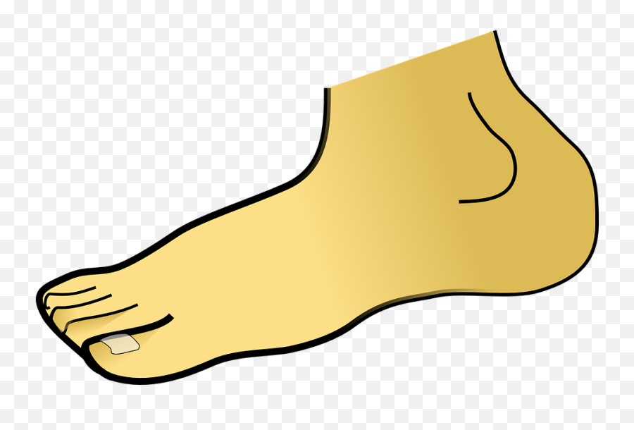 Transparent Feet Clipart Png - Transparent Foot Clipart Emoji,Toe Emoji