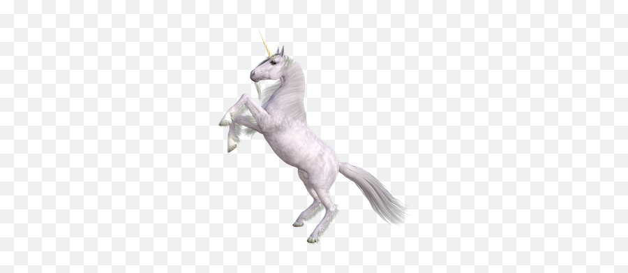 900 Free Horn U0026 Unicorn Illustrations - Pixabay Stallion Emoji,Unicorn Emoji Black And White
